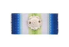 South Atlantic Falklands Medal Ribbon Bar with Rosette Solid Silver