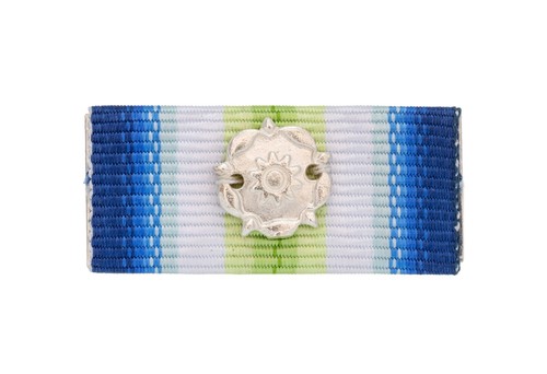 South atlantic falklands medal - atlantic,