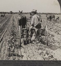 Horse Drawn Riding Disc