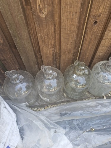 Four glass demijohns 5 l - four,
