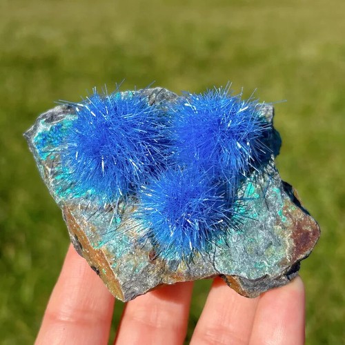 Natural raw dandelion zeolite - raw,