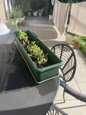Large Green PLASTIC TROUGH WITH TRAY 70cm