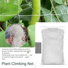 Plant Support Netting Fruit