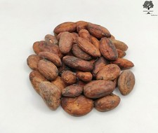 Raw Cacao Beans 85g - 1.95Kg |