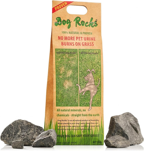 Dog rocks urine patch - dog,