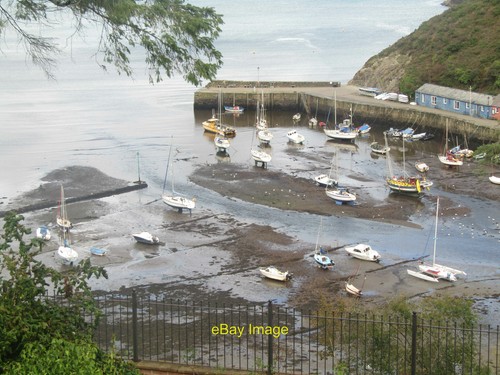 Photo 12x8 fishguard harbour - photo,