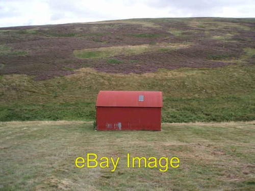 Photo 6x4 red - red, nether