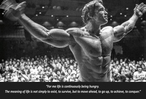 Arnold schwarzenegger - arnold,