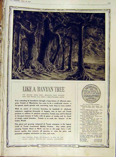 Original old vintage print - vintage,