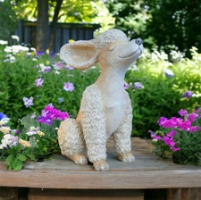 Poodle in the Wind Garden
