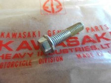 KAWASAKI KX60 KX65 KX85 KX125 KX250 KX500 GENUINE OIL PUMP BOLT - # 92002-1609