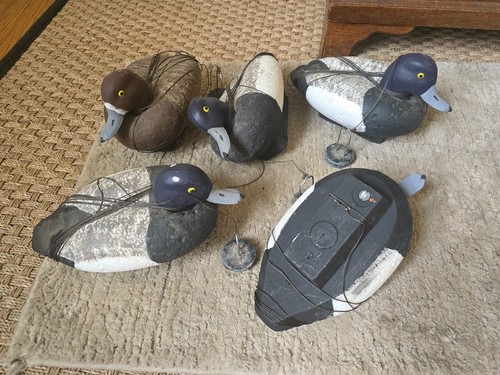 Vintage new bluebill - new, decoys.
