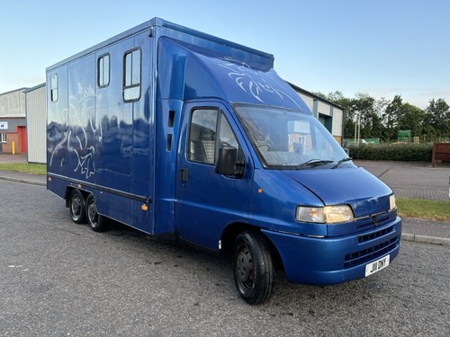 Peugeot boxer horse box - peugeot,