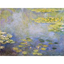Claude Monet Waterlilies Extra