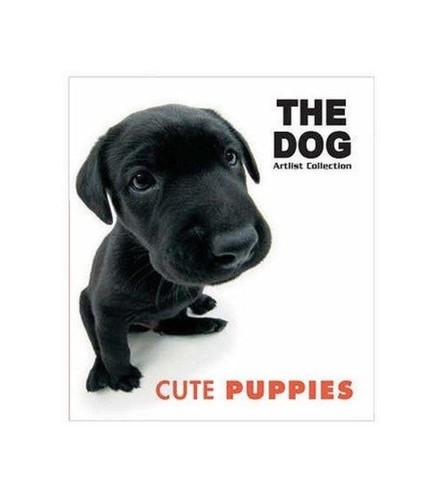 Cute puppies n a - puppies, n/a