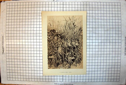 Antique old print troublesome - print,
