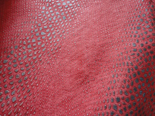 Red black raised snake - ,