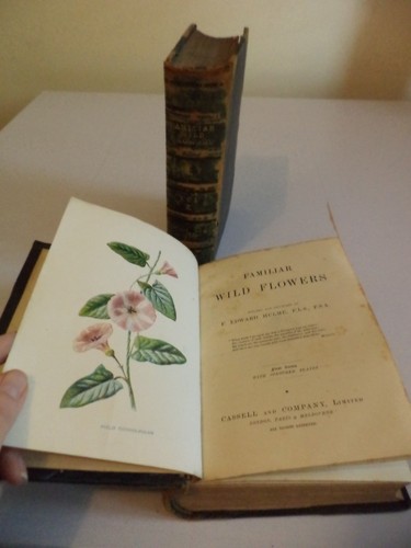 Familiar wild flowers edward - wild,