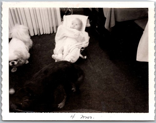 Vtg snapshot baby - snapshot, bouncer