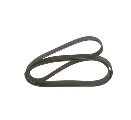 New ribbed belt for - belt,