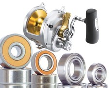 Shimano Talica Bearing Kits