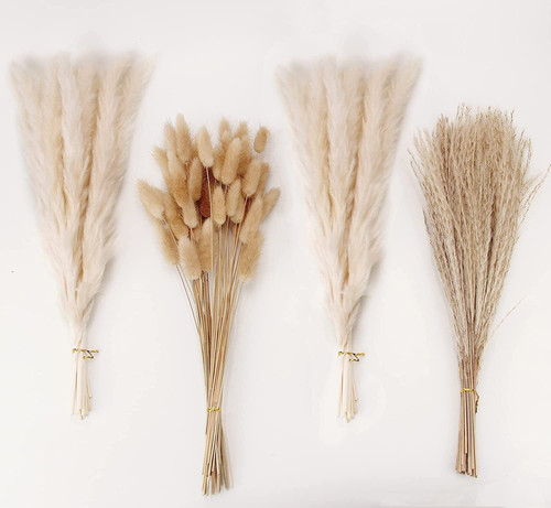 White pampas grass - grass, bunny