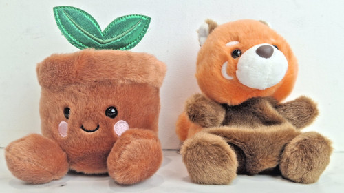 Two palm pals rei - pals,