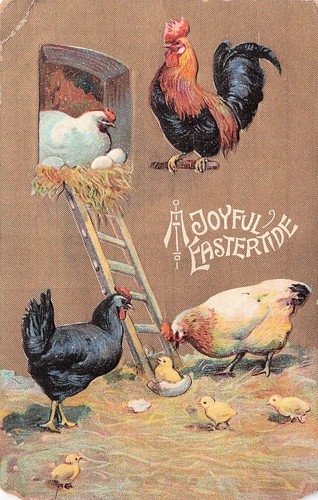 Easter hunt eggs - easter,