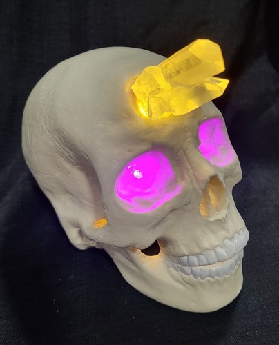 Human skull crystal skulls - human,