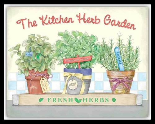 The kitchen herb garden - the,