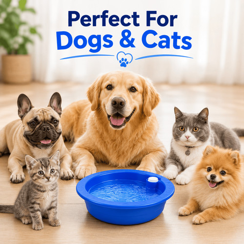 Freeze activate dog cat - freeze,