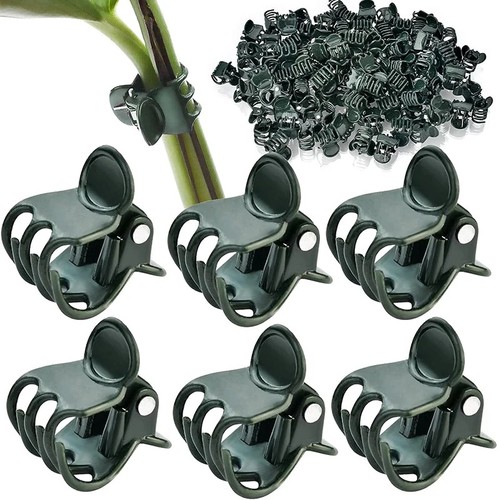 Orchid plant support - support, clips