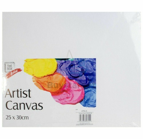25x30cm artist blank - 25x30cm,