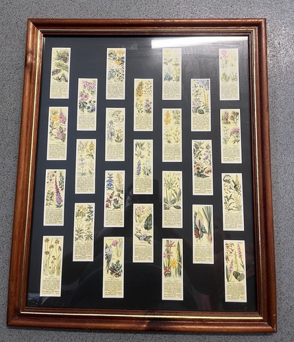 Framed vintage 1937 - vintage,