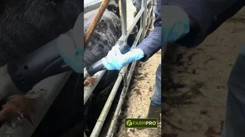 Farmpro cordless cattle - farmpro,