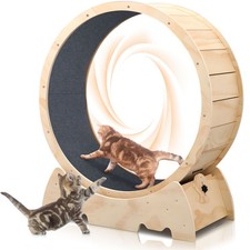 Large Cat Exercise Wheel