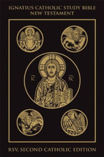 Ignatius catholic study - ignatius,
