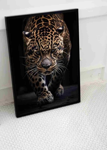 Jaguar cat eyes - cat, poster