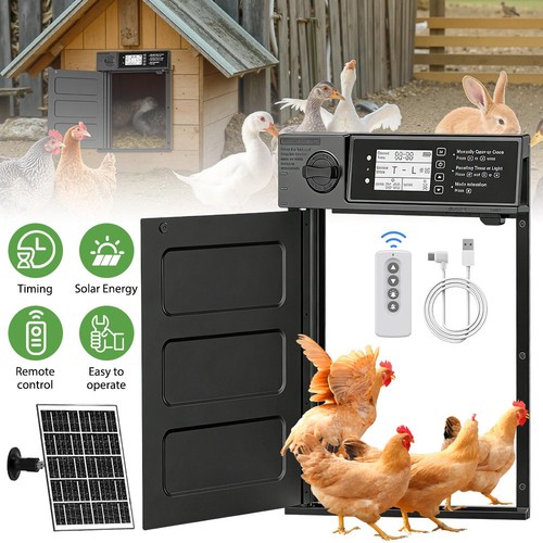 Automatic chicken door - chicken,