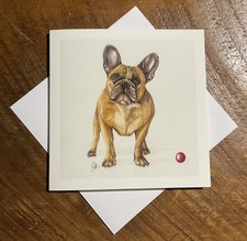 French bulldog dog breed - bulldog, fine