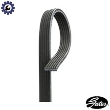 VRIBBED BELT 6DPK1225 FOR FIAT
