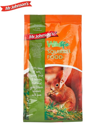 Johnsons wildlife squirrel - wildlife,