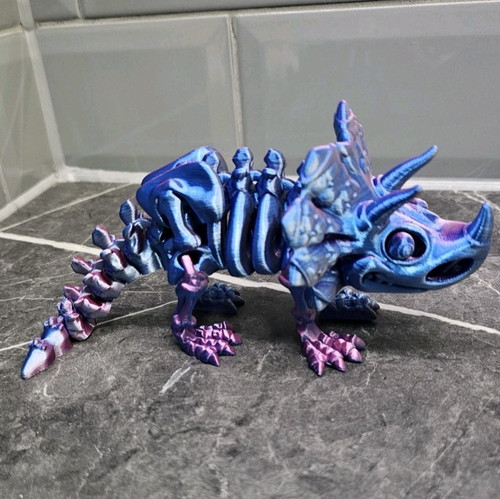 Skeleton triceratops dinosaur - triceratops,