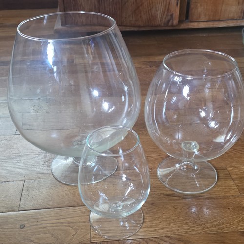 Large clear glass - clear, brandy