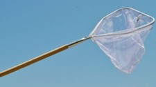 Joy Fish Landing Net 14" X 13"