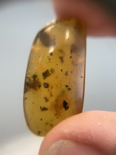 Beautiful burmese amber with - beautiful,