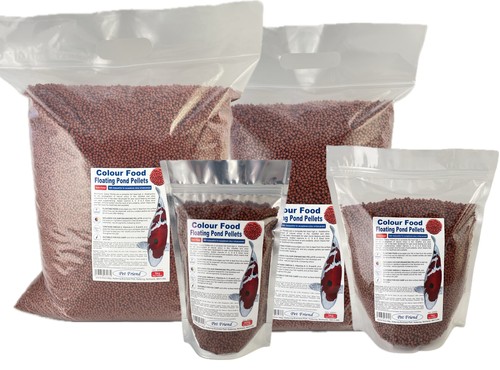 Pond koi goldfish food - pond, high