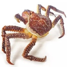 Mini Figure King Crab "Primary