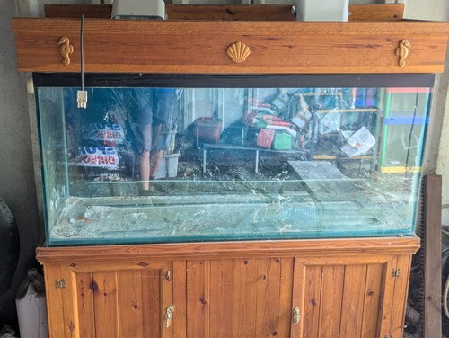 Fish tank and - 4.5, hand
