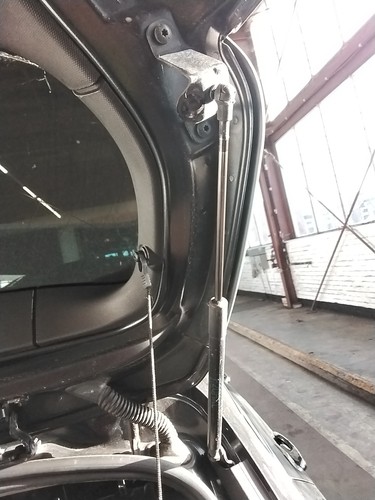 Boot tailgate support strut - boot,